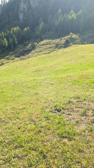 Oportunitate!Teren intravilan 61.38400mp-Parcelabil-utilitati-Colibita