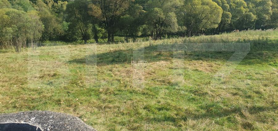 Teren intravilan, 1322 mp, zona Vatra Dornei - 7