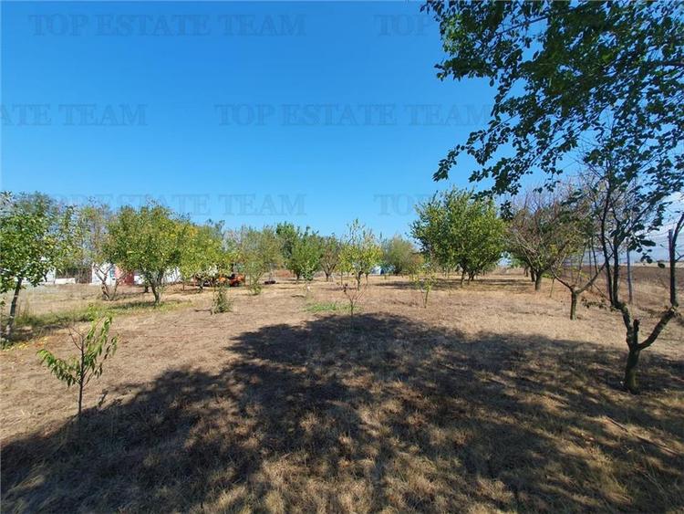 Teren intravilan agricol si teren curti constructii Lot 2 Parcela A326/49