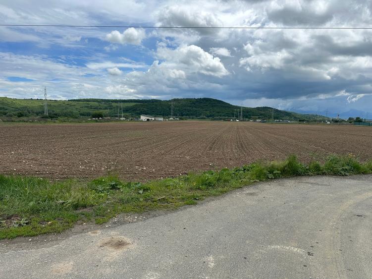 Teren extravilan 3.240 mp la strada * intre Selimbar si Bungard