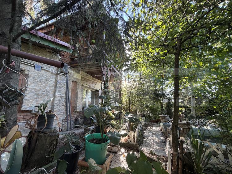 Casa P+M, 777 mp teren, Breasta