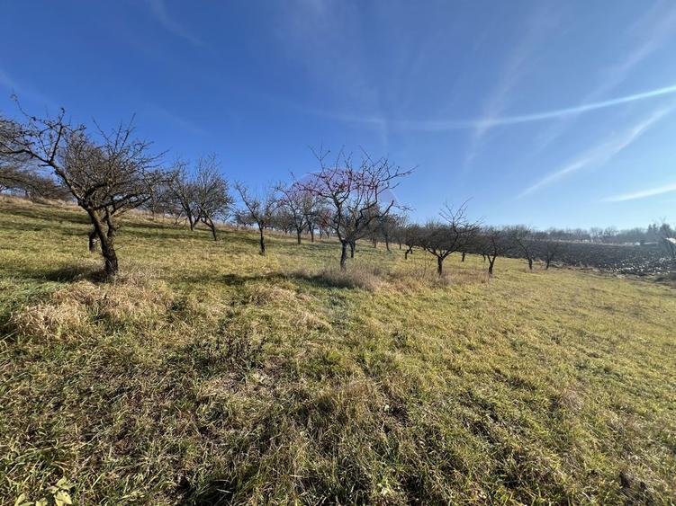 Teren intravilan, Bădeni - Turda, judetul Cluj