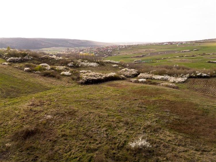 RECO Teren exclusivist 1800 mp in Betfia – panorama superba