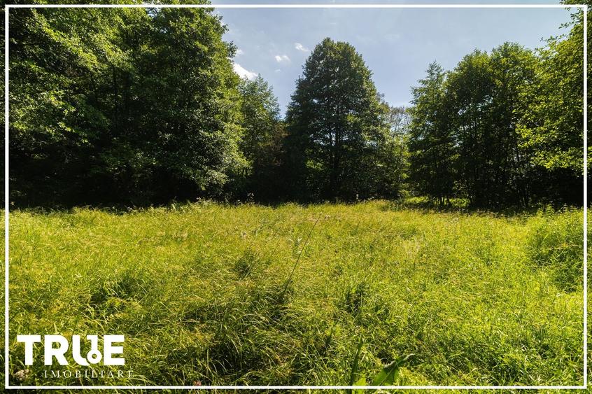 Teren intravilan 2.800 m² în Câmpu Cetății – liniște și natură