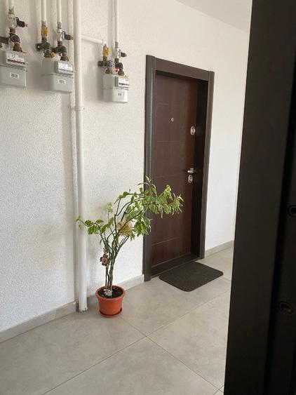 Ofer spre inchiriere apartament 2 camere, Dumbravita, Timis, Str. Mures, etaj. 1