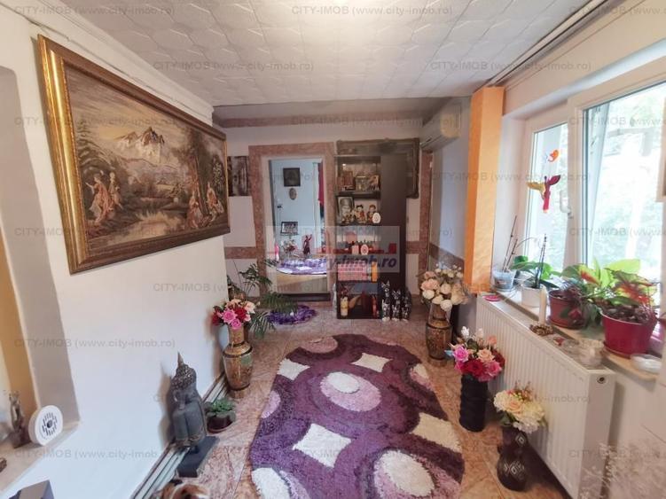 Vanzare casa Andronache