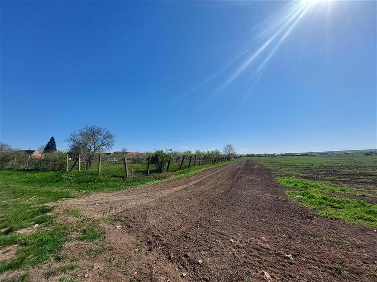 Teren pentru dezvoltare rezidentiala langa padure, in Pischia