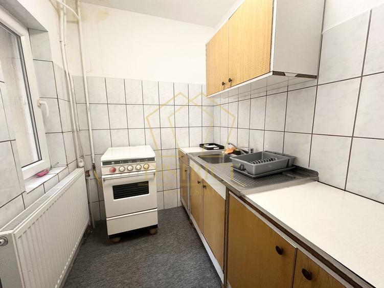 Apartament spațios cu o cameră I Sagului