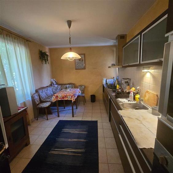 Vila 5 camere Bucium- Aleea Domenii