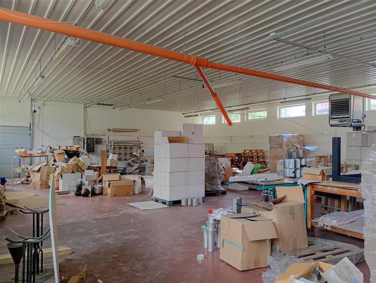 Hala industriala + Casa+ 9650 mp teren
