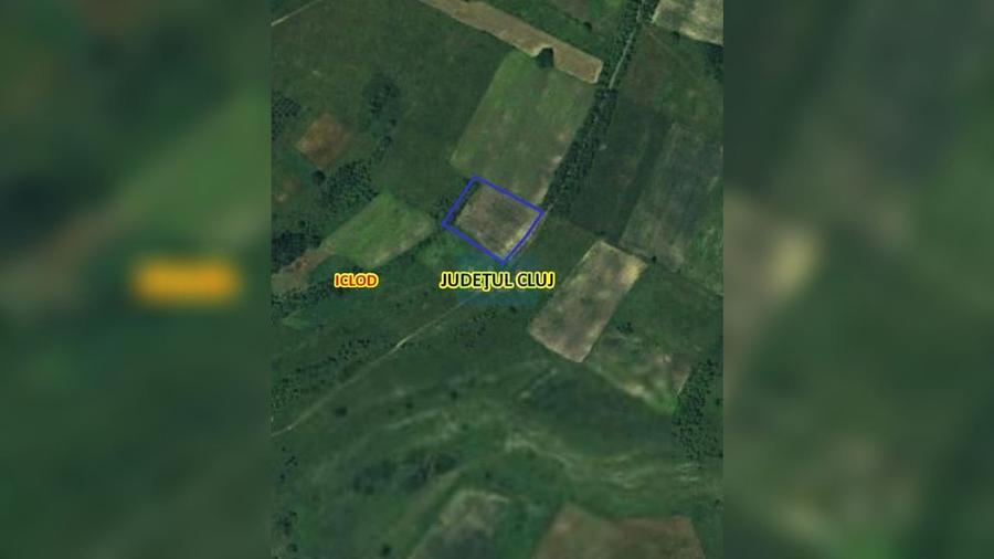Teren intravilan 7800 mp in Livada Iclod, utilitati, 63 euro/mp