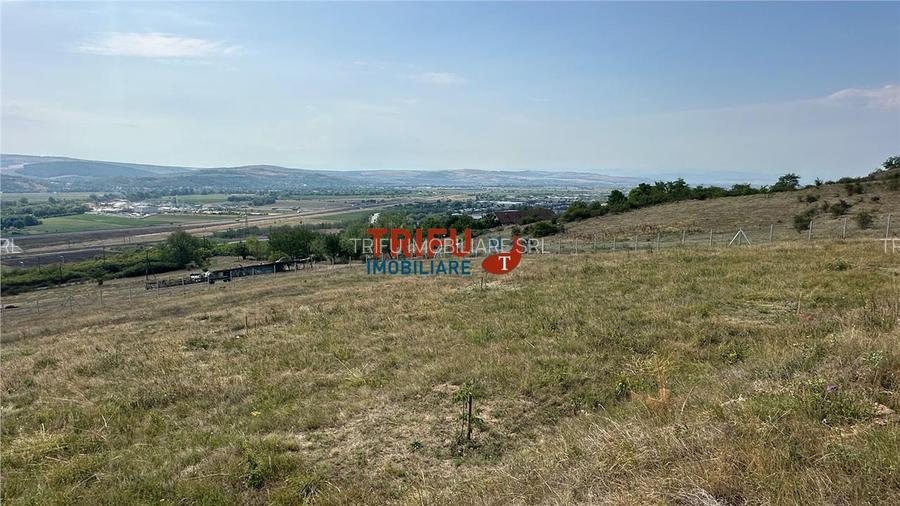Teren pentru relaxare și agricultură în Barabant, Alba Iulia – Ex - 13