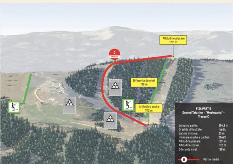 Domeniu schiabil-Partia Mestecanis, 28ha teren, zona Mestecanis - 7