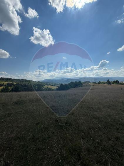 Teren 7,200mp Sighetu Marmatiei / Strada Doboies