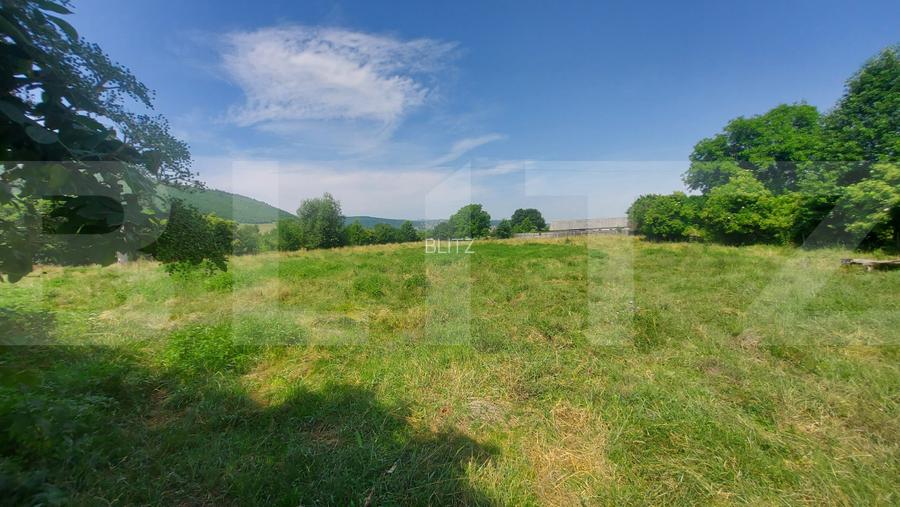 Casa + teren intravil, 3.6 ha I Zagon I Potential turistic si investitional - 9