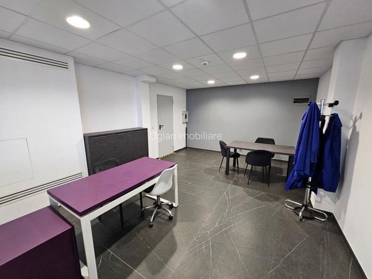 Service auto cu showroom și linie ITP, Cisnădie - 13