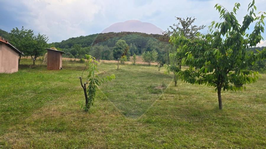 Casă cu 4 camere din cărămidă, de vânzare în zona Bratca-Damiș