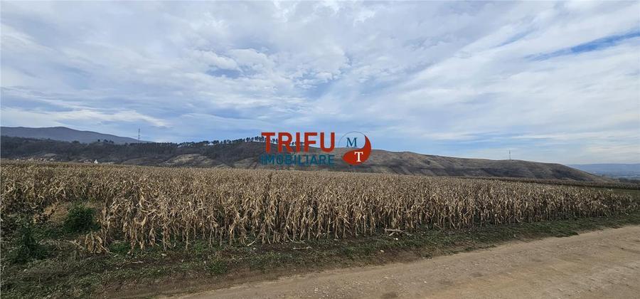 Teren Extravilan în Zona Paclisa, Alba Iulia 3400mp