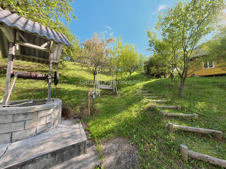 Doua case turistice cu vedere la lac si padure - Buhalnita