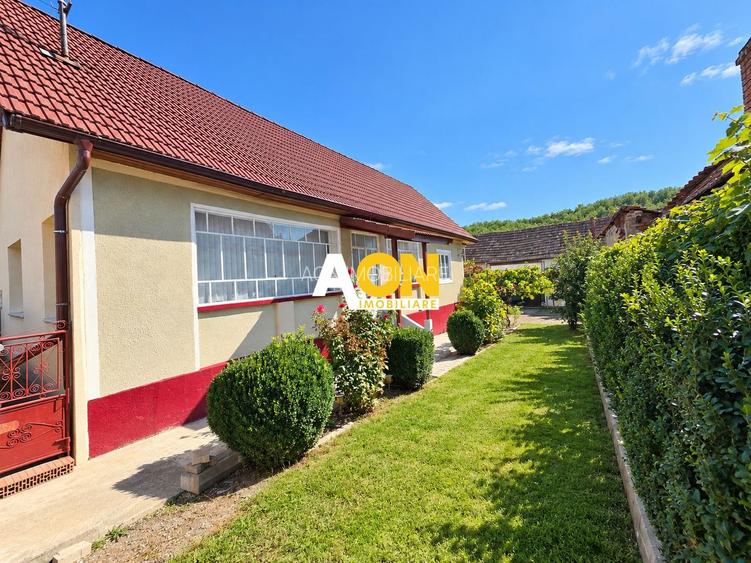 Casa traditionala, 3 camere, la asfalt, 1685 mp teren, Ciugud
