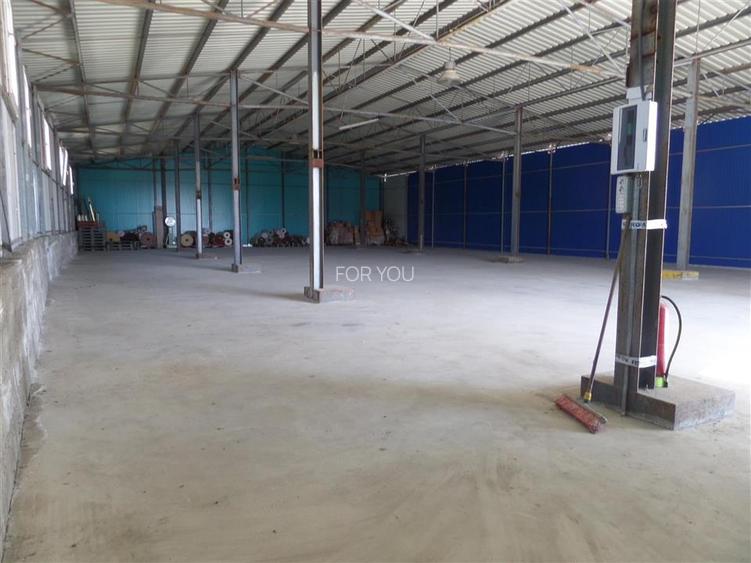 Hala Productie / Depozitare 600 mp + Teren 1000 mp – Magura (Farbe), Bacau – Acc - 6