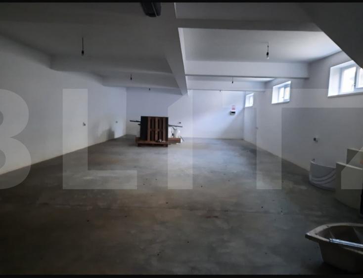 CASA+SPATIU PENTRU AFACERE/LOCUIT IANCU JIANU