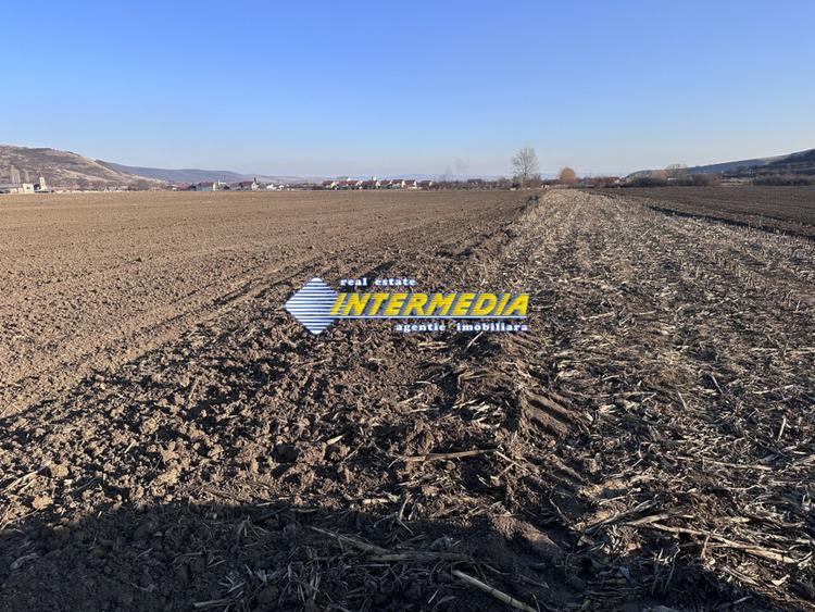 Teren intravilan de vanzare in Sard suprafete 600-800 mp
