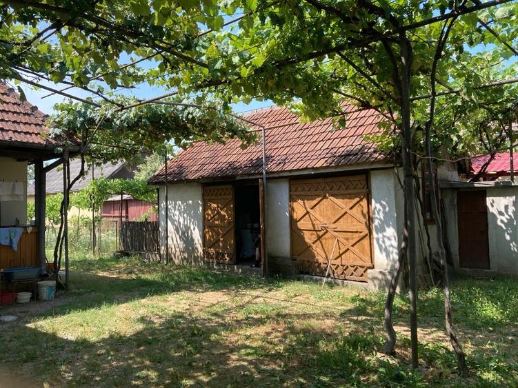 Vand casa 7 camere + anexe + teren 3515 mp