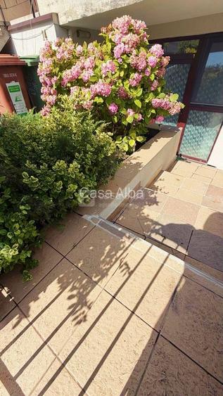 Copou - apartament cu 2 camere, mobilat & utilat, la vila - 8