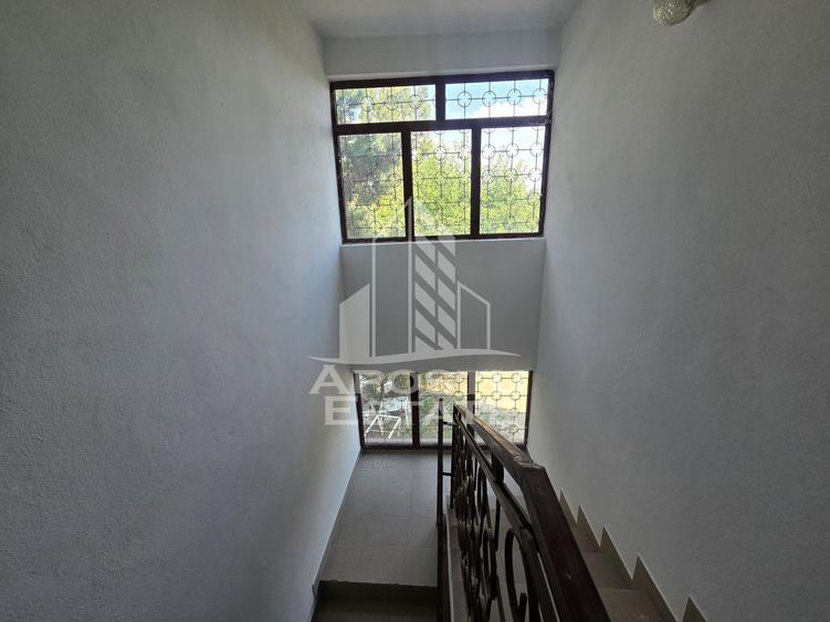 Casa de vanzare, potential pensiune, pe malul Timisului,Sag,comision 0