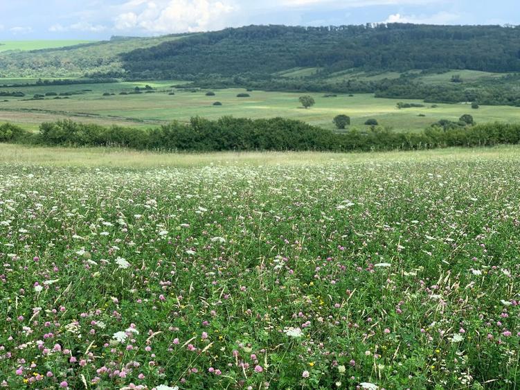 Teren arabil de 630 hectare în Galați