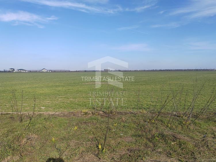 Cernica Tanganu  Parcele 1023 mp  la 17.000 euro - 6