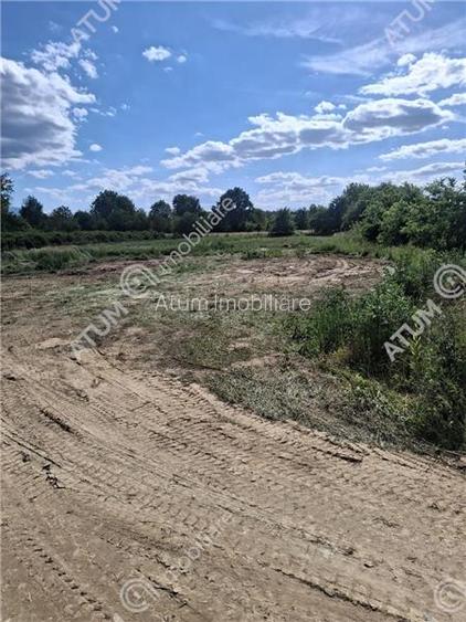 Teren intravilan de 2679 mp in Porumbacu de Sus din Sibiu - 7