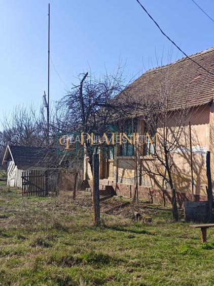 P4858 Casă bătrânească cu teren de 5.003mp, Cebza - 11