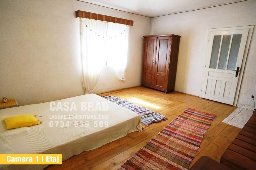 Casa mare cu ~4000mp teren plat, in zona verde, linistita, in orasul Brad, HD