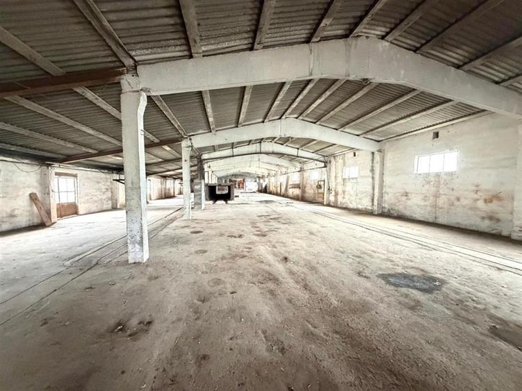HALE INDUSTRIALE | CLADIRE BIROURI | TEREN 7000 MP | GHEGHIE BIHOR