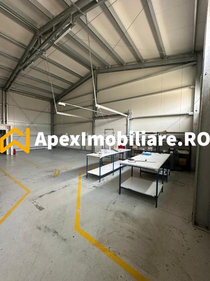 Hala Industrială Malu Rosu Ploiesti 550 mp + Birouri | Parcare 20 | Acces TIR | - 12