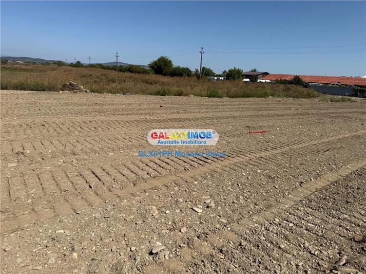 Vanzare teren 2960 mp, langa Ploiesti, in Lipanesti - 8