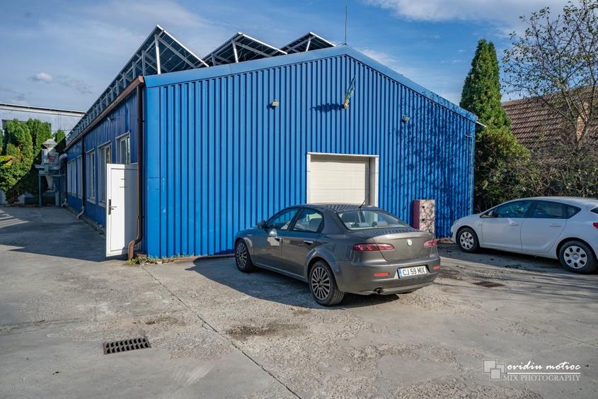 Hale in zona Calea Baciului