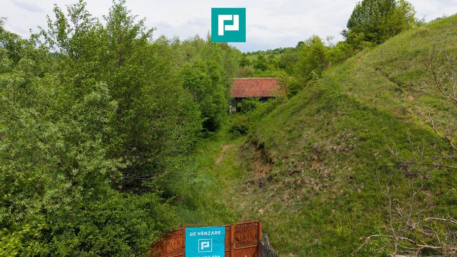 Proprietate de poveste pe Valea Mureșului, Lupești