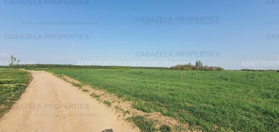 Terenuri intravilane in Racari, Colacu 10.000 + mp , Dambovita - 6