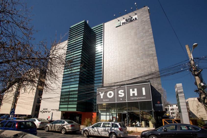 Banu Antonache Offices 40-44