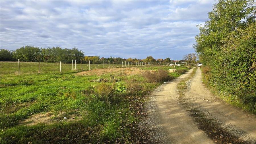 VIDEO | Teren intravilan - 657 mp | Micula, Satu Mare