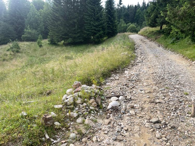 Teren intravilan dezvoltare turistica Hoteluri/Pensiuni S+P+2E+M