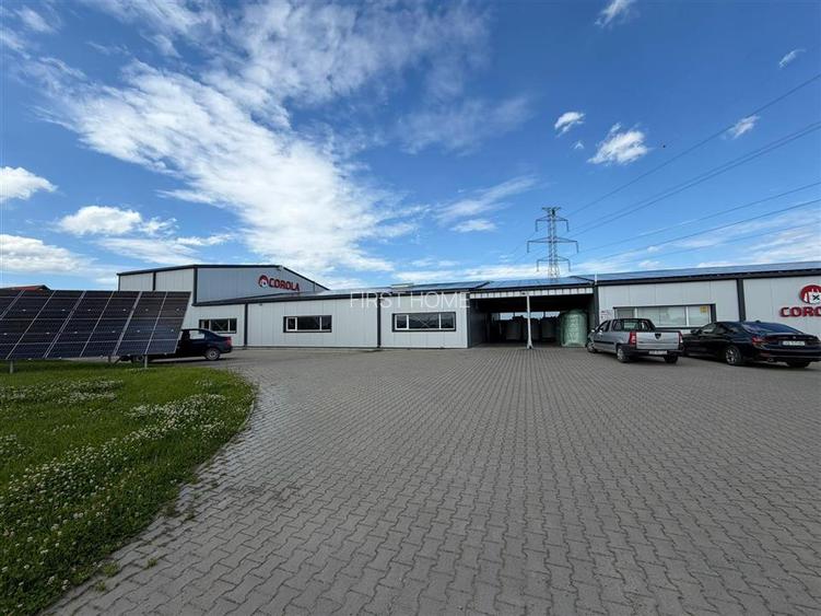 Spațiu Industrial Modern | Producție, Depozitare, Logistică - 17