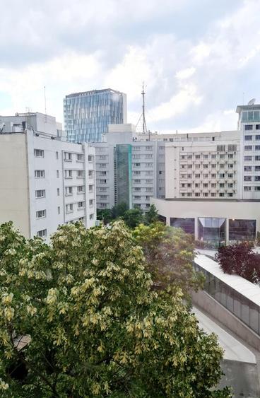 2 camere Calea Victoriei Sala Palatului