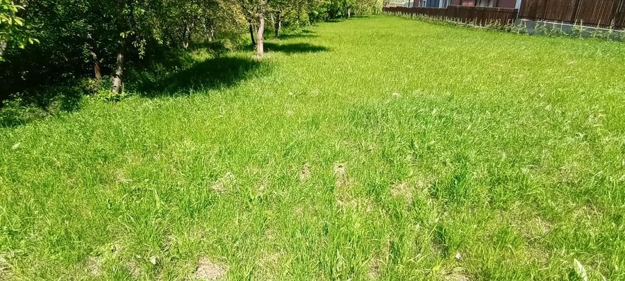 Casa noua tip vila cu 6 apartamente, P+2E, 1500 mp teren, Buna Ziua