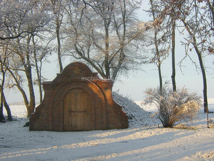 Conacul Zichy, Domeniu de 7,8 Ha -de vanzare - 15