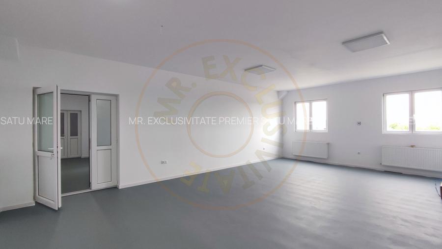 Inchiriere Spatii de Birouri/Productie - Str. Uzinei - Carei - Comision 0%  - 3