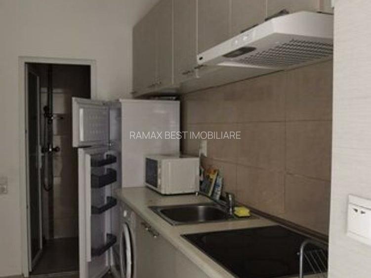 Apartament 1 camera Pet Friendly Calea Motilor - 7